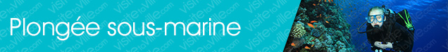 Boutique de plongée sous-marine Riviere-Bleue - Visitetaville.com