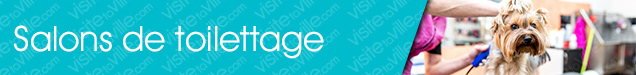 Toilettage Laval-Duvernay - Visitetaville.com