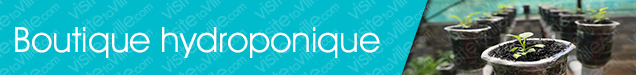 Boutique hydroponique Montreal-Cote-Saint-Luc - Visitetaville.com